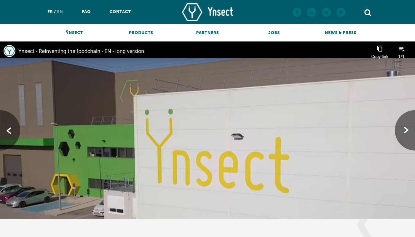 Ynsect