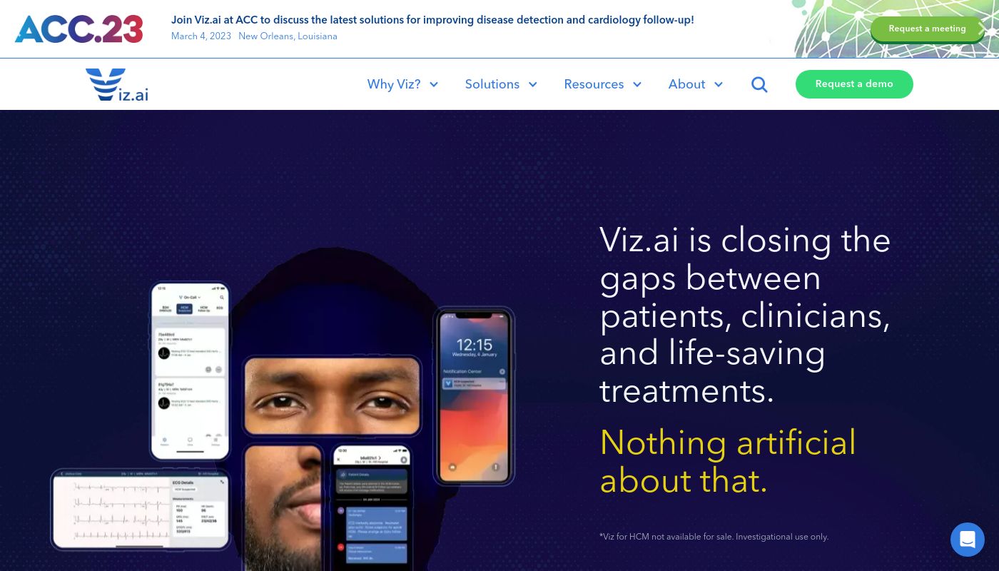 Viz